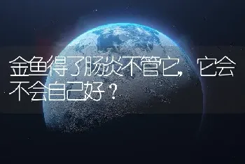 金鱼得了肠炎不管它，它会不会自己好？