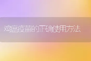 鸡瘟疫苗的正确使用方法