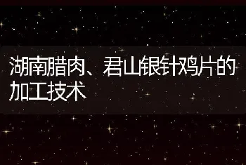 湖南腊肉、君山银针鸡片的加工技术