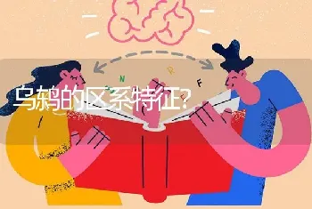 乌鸫的区系特征？