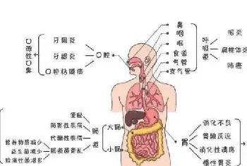 如何解决口臭的方案?湿气重引起的口臭去除方法