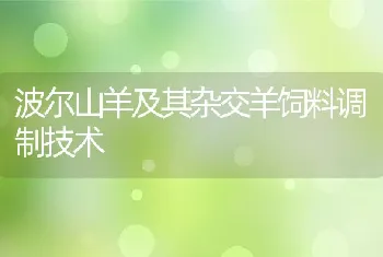 波尔山羊及其杂交羊饲料调制技术