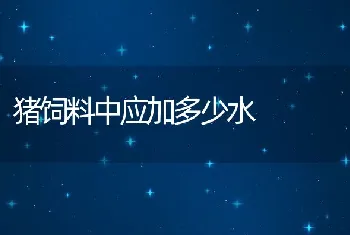 猪饲料中应加多少水