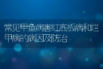 常见甲鱼病害红底板病和烂甲病的病因及防治