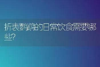 折衷鹦鹉的日常饮食需要哪些？