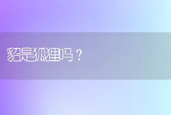 貂是狐狸吗？