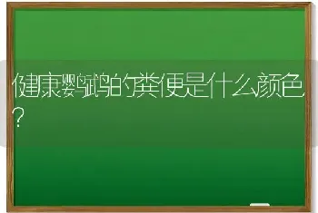 健康鹦鹉的粪便是什么颜色？