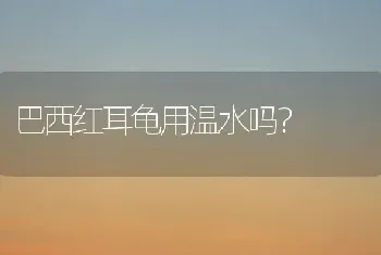 巴西红耳龟用温水吗？