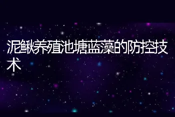 泥鳅养殖池塘蓝藻的防控技术