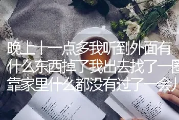 晚上十一点多我听到外面有什么东西掉了我出去找了一圈靠家里什么都没有过了一会儿就听到门口有猫叫？