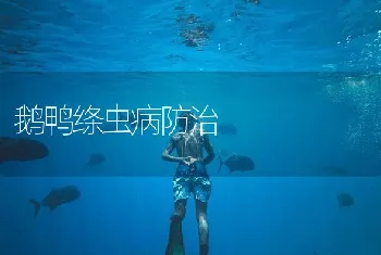 鹅鸭绦虫病防治