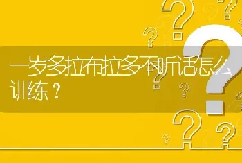 一岁多拉布拉多不听话怎么训练？