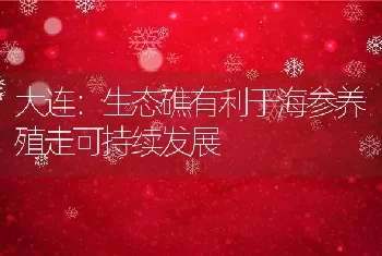 大连：生态礁有利于海参养殖走可持续发展