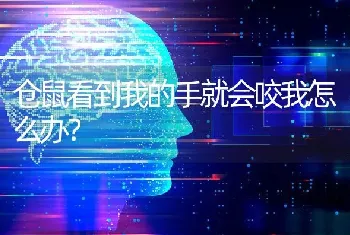 仓鼠看到我的手就会咬我怎么办？