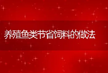 养殖鱼类节省饲料的做法