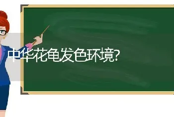 中华花龟发色环境？