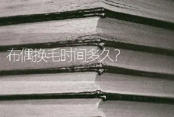 布偶换毛时间多久？