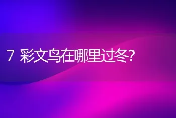 7彩文鸟在哪里过冬？