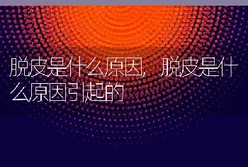 脱皮是什么原因，脱皮是什么原因引起的