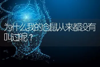 为什么我的仓鼠从来都没有叫过呢？