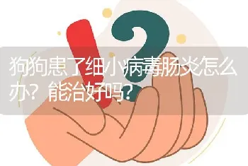 狗狗患了细小病毒肠炎怎么办？能治好吗？