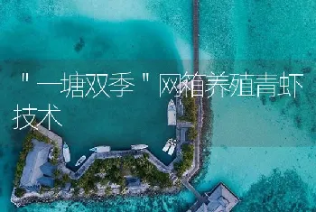 ＂一塘双季＂网箱养殖青虾技术