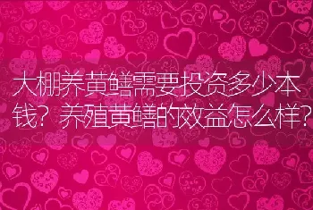 大棚养黄鳝需要投资多少本钱？养殖黄鳝的效益怎么样？