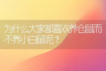 为什么大家都喜欢养仓鼠而不养小白鼠呢？