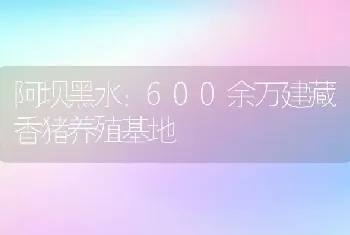 阿坝黑水：600余万建藏香猪养殖基地