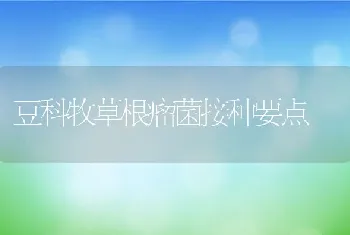 豆科牧草根瘤菌接种要点