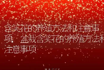 含笑花的养殖方法和注意事项，盆栽含笑花的养殖方法和注意事项