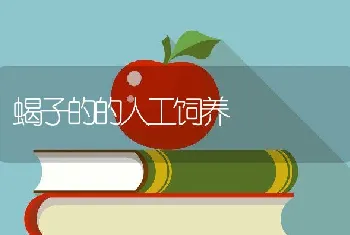 蝎子的的人工饲养