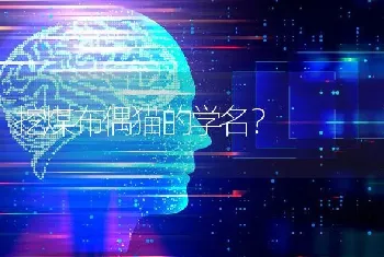 哈士奇最讨厌什么东西？