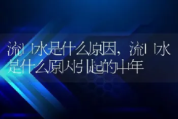 流口水是什么原因，流口水是什么原因引起的中年