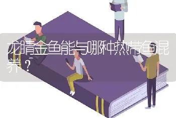 罗汉鱼孵出了一窝小鱼，怎样喂养啊？