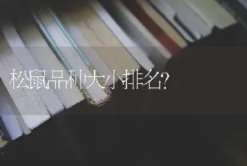 松鼠品种大小排名？