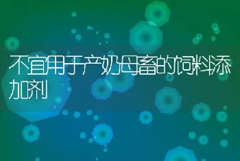 不宜用于产奶母畜的饲料添加剂