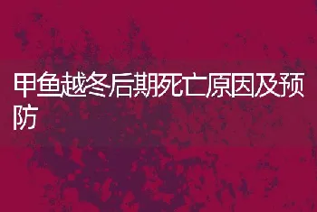 甲鱼越冬后期死亡原因及预防