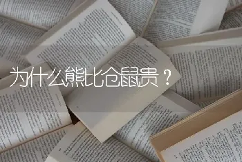 为什么熊比仓鼠贵？