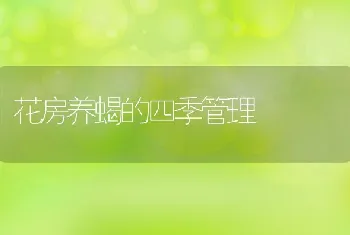 花房养蝎的四季管理