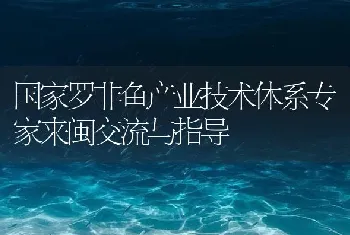 国家罗非鱼产业技术体系专家来闽交流与指导