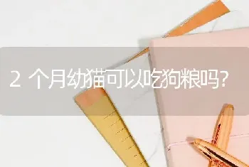 2个月幼猫可以吃狗粮吗？