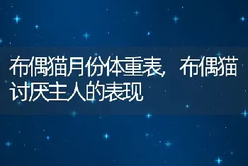 布偶猫月份体重表，布偶猫讨厌主人的表现