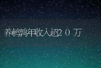 养鹌鹑年收入超20万