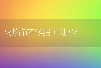 火焰龟不冬眠可以吗？