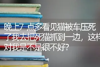 晚上7点多看见猫被车压死了我去把死猫抓到一边，这样对我是不是很不好？