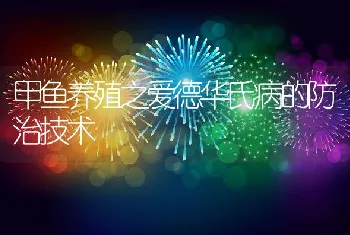 甲鱼养殖之爱德华氏病的防治技术