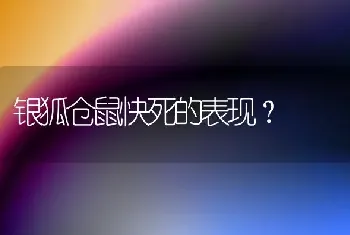 银狐仓鼠快死的表现？