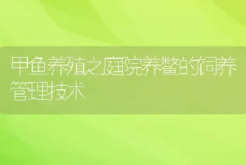 甲鱼养殖之庭院养鳖的饲养管理技术