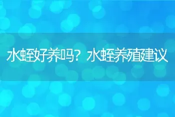 水蛭好养吗？水蛭养殖建议